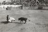 Corrida de toros. Cella
