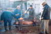 Matanza del cerdo. Pozuel