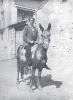 Luciano SebastiÃ¡n en la mula "roya". Langa del Castillo.