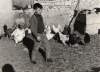 NiÃ±o junto a varias gallinas. Torralba de los Sisones.