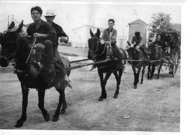 Archivo:DIA DEL CERRO.jpg