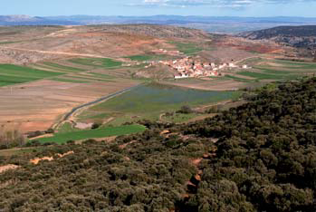 Archivo:Laguna Almohaja.png