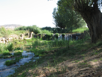 Archivo:Azud Lechago.jpg