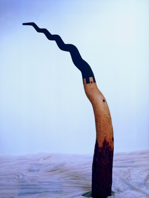 Archivo:Movil crimen.jpg