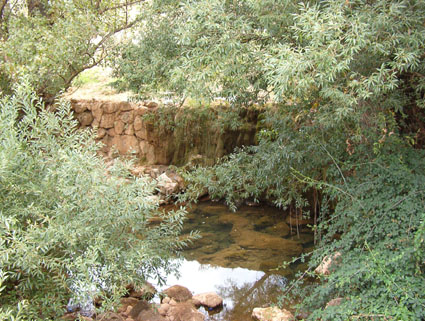 Archivo:44492-4 (79).jpg