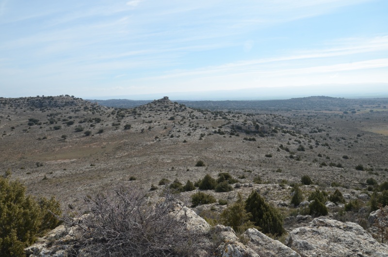 Archivo:Paramera blancas2.jpg