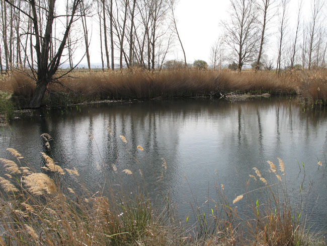 Archivo:44340 (0243(.jpg