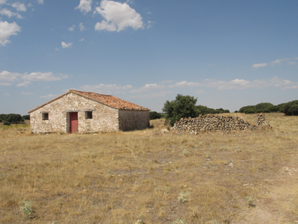 Archivo:Caseto Blanco Odon(2).jpg