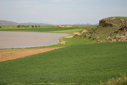 Archivo:Parada Used.jpg