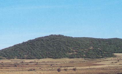 Archivo:44493-2 (6).jpg