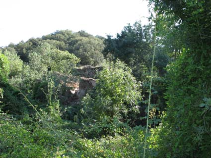 Archivo:44212-2 (74).jpg