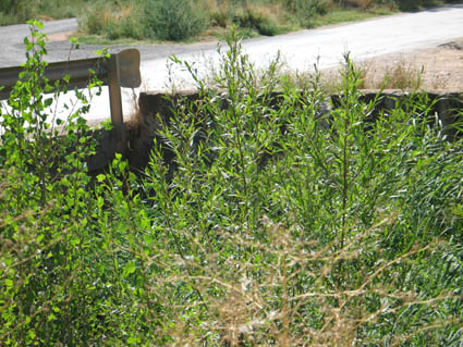 Archivo:Puente carretera Navarrete.jpg