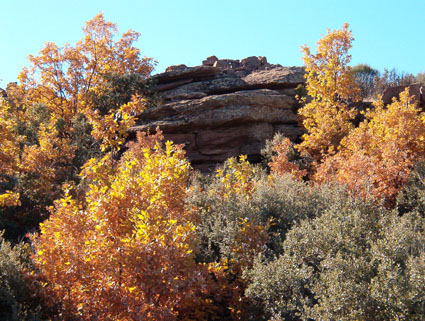 Archivo:Marojal Sierra Menera.jpg