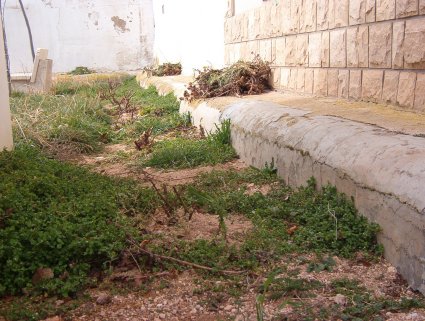 Archivo:44230 (43).jpg