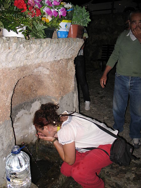 Archivo:SanPedro 2010.jpg