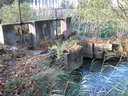 Archivo:Acequia del Rey.jpg