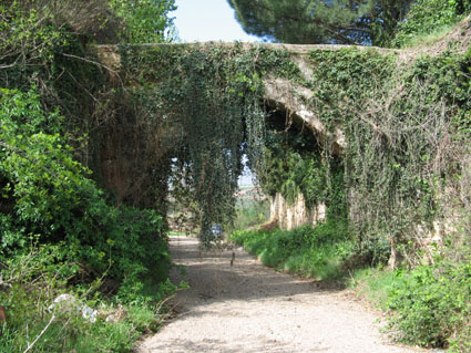 Archivo:Acequia daroca.jpg