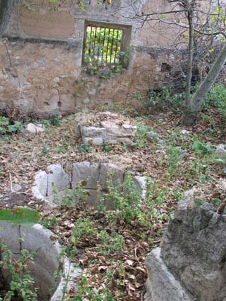 Archivo:44200 (278).jpg
