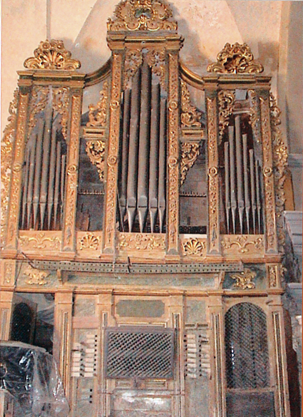 Archivo:Organoojosnegros.jpg