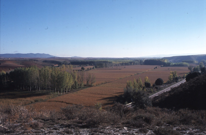 Archivo:Prados Luco.jpg