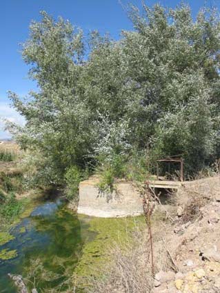 Archivo:Azud molino Santa Eulalia.jpg