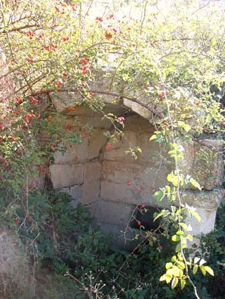 Archivo:44375-2 (77).jpg