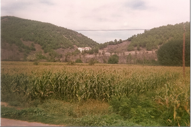 Archivo:San Roque1.png