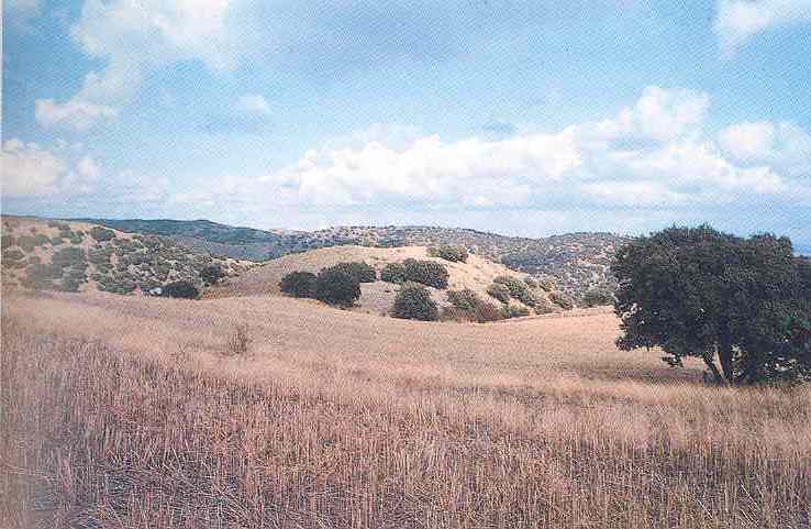 Archivo:Castejon2764 (1).jpg