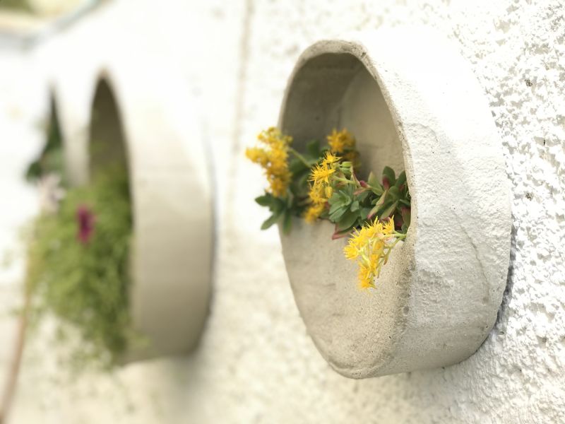 Archivo:María Blasco Navarro.jpg