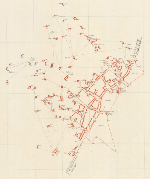 Archivo:Lechago urbano.jpg