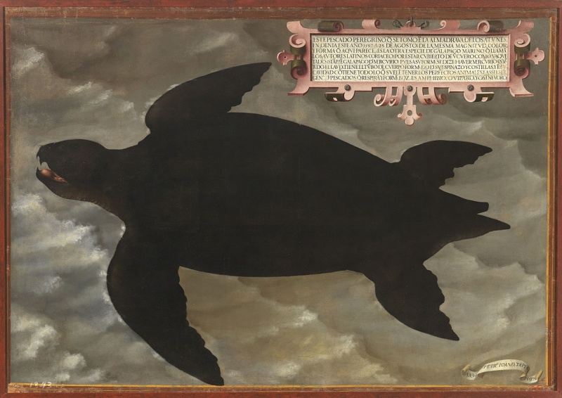 Archivo:Pedro juan tapia-galapago.jpg