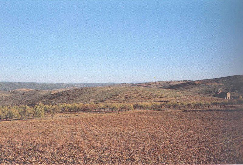 Archivo:Murero (13).jpg